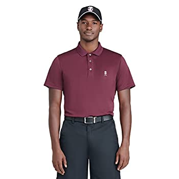 【中古】【輸入品・未使用】IZOD メンズ パフォーマンスゴルフグリッド 半袖ストレッチポロシャツ, イチジク, Small