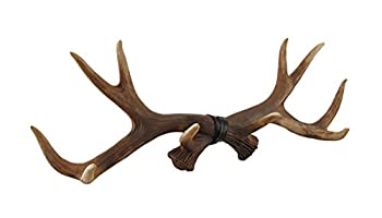 【中古】【輸入品・未使用】(Brown) - Lifelike Deer Antlers Rack Decorative Wall Hook