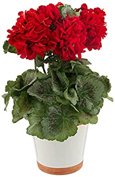 【中古】【輸入品・未使用】Nearly Natural 4691 ゼラニウム 装飾シルクプラント、レッド、10.25インチ x 10.25インチ x 17.5インチ｜スカイマーケットプラス