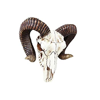 【中古】【輸入品・未使用】Pacific Giftware ラムスカルとホーン バフォメット ウォールトロフィー 装飾 11インチ