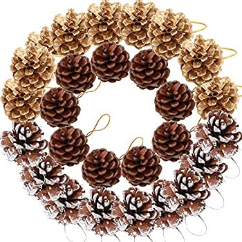 【中古】【輸入品・未使用】Yarssir 27 Pieces Pine Cones Ornament Natural PineCones String Pendant Crafts Gift Tag Tree Party Hanging Decoration(Multi Color-27 Pac｜スカイマーケットプラス