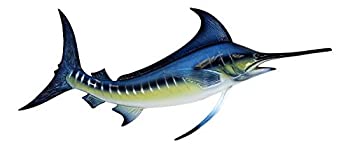 【中古】【輸入品・未使用】Charlotte International Sport Fishing Big Catch Blue Marlin 18 Inch Resin Wall Decor Plaque [並行輸入品]画像