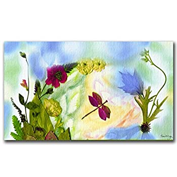 【中古】【輸入品・未使用】Trademark Fine Art Dragonfly Dream by Kathie McCurdy Canvas Wall Art, 14x24-Inch [並行輸入品]