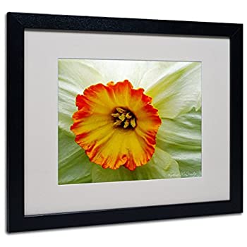 【中古】【輸入品・未使用】Trademark Fine Art Furnace Run Daffodil Large by Kathie McCurdy Canvas Artwork in Black Frame, 16 by 20-Inch [並行輸入品] 26,241円