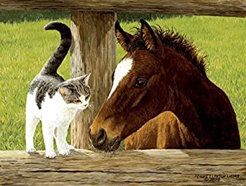 【中古】【輸入品・未使用】SunsOut Whiskery Hello - 馬と猫のパズル - ジグソーパズル 500ピース