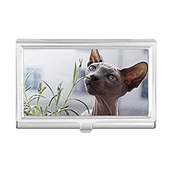 【中古】【インポート品・未当て嵌める】毛の荒物 薄墨色 薄べったい猫 第八芸術 名刺保持者 入れもの 衣嚢ボックス席 紙入れ