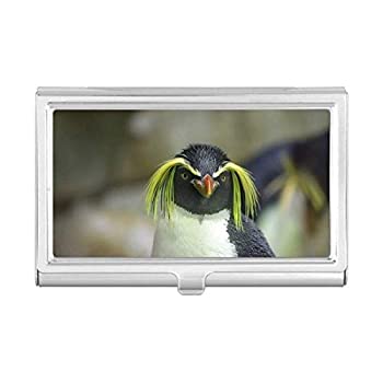 【中古】【インポート品・未当て嵌める】Sea Science 気取らない南極ペンギン 活動写真名刺保持者 入れもの 衣嚢ボックス席 札入れ