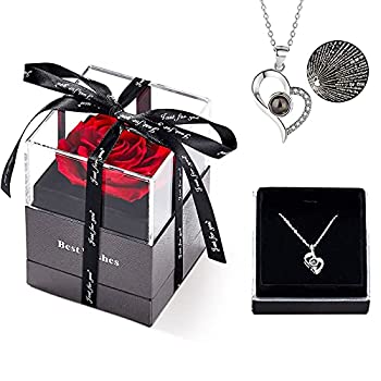 【中古】【輸入品・未使用】プリザーブド人工ローズギフトボックス ? 魅惑的な人工ローズ I Love Youネックレス 100言語ギフト ハンドメイド プリザーブドローズギフトボッ｜スカイマーケットプラス