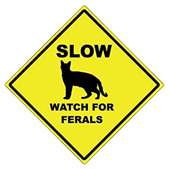 【中古】【インポート品・未当て嵌める】Slow Watch For Ferals Cat Caution Sign???15?\