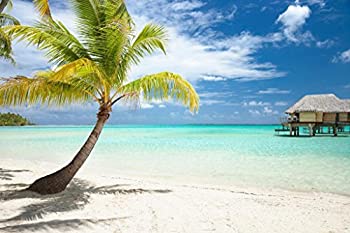 【中古】【輸入品・未使用】Palm Tree and Huts On Tropical Beach Tahaa島フォトアートプリントby proframes 36x24 inches 186629|スカイマーケットプラス