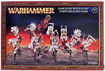 【中古】【インポート品・未当て嵌める】Dark Elves Witch Elves /Sisters of Slaughter