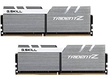 【中古】【インポート品・未当て嵌める】G.SKILL TridentZ続きもの 32GB (2 x 16GB) 288いの一番 DDR4 SDRAM DDR4 3200 (パソコン4 25600) 事務机とっ始め記憶装置 F4-3200C14D-32GTZSW