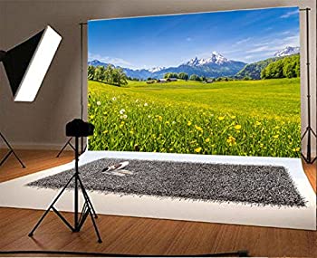 【中古】【輸入品・未使用】laeacco 7?x 5ft写真アルプス風景ビニールバックドロップ背景田舎Countryside Grassland Meadow Flowers and Green Pasture景色Backdrop屋外写
