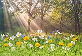 【中古】【輸入品・未使用】laeacco 7?x 5ftビニール写真バックドロップSpring Landscape花とグリーンGrass Trees Sun Raysシーンフローラルスプリング屋外写真背景子供赤|スカイマーケットプラス