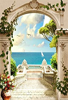 【中古】【輸入品・未使用】laeacco 5?x 7ftビニール背景写真背景フレスコデジタル写真バックドロップSea View Seagull古いアーチStairway景色Nature背景Boys Girls子供フ 17,788円