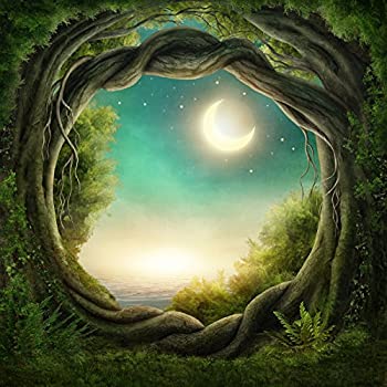 【中古】【インポート品・未当て嵌める】Yeele 7?x 7フィート Fantasy Forest Backdrop Fairy TaleアイビーNight Moon Stars見晴らし活動写真周囲の状況Baby Girl Boy Adult Portrait活動写真ボックス映画化ビニール