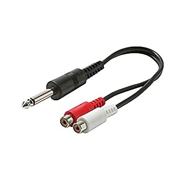 【中古】【輸入品・未使用】6インチ 1/4インチ モノオス2 RCAメスアダプターケーブル 6.3mm ジャック フォノモノラルからデュアルRCAメスアダプタープラグシールドオーディ|スカイマーケットプラス