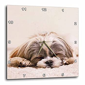 【中古】【輸入品・未使用】3dRose Shih Tzu。 睡眠。 ベストフレンド。 - ウォールクロック、15×15インチ (dpp_220715_3)