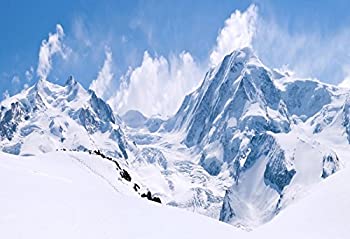 【中古】【インポート品・未当て嵌める】Yeele 10?x 8フィート Snow Mountain第八芸術うしろ側落っこちるWinter Nature Scenery Alps Mountain Top第八芸術周囲の状況Portrait Shooting Studio小道具 その他-家電