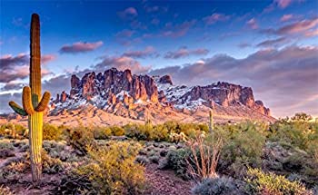 【中古】【輸入品・未使用】leowefowa 7?x 5ft Nature Landscape Backdrop Mountain Desert Cactus Backdrops for Photographyグリーン植物ブルースカイアウトドア旅行ビニ画像