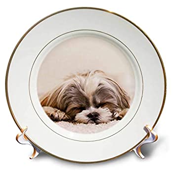 【中古】【輸入品・未使用】3dRose cp_220715_1 Shih Tzu スリーピング親友磁器プレート 8インチ