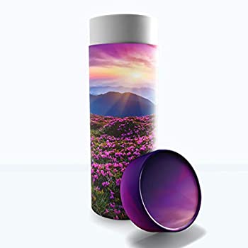 【中古】【輸入品・未使用】Heaven On Earth 散布用骨壷 - 生分解性骨壺 大人用 葬式 埋葬 ニチ コロンバアリウム 火葬用 - 成人の遺灰用骨壷 - 散布用骨壷 - Lサイズ