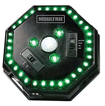 【中古】【輸入品・未使用】グリーンサプライmfa-12651?Moultrie Feeders Feeder Hogライト|スカイマーケットプラス