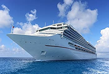 【中古】【輸入品・未使用】Cruise Ships写真背景幕???写真背景???Yeele 10?x 8ftビニールLuxuryクルーズSea Travels Backdrop for Adult Boy Kids肖像写真ブースシ