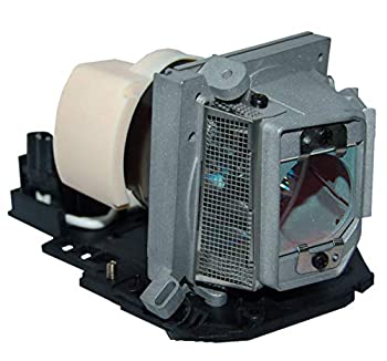 【中古】【輸入品・未使用】GOLDENRIVER EC.J6900.003/EC.J8000.001/EC.J8000.002 交換用ランプ ハウジング付き ACERプロジェクターS1200対応