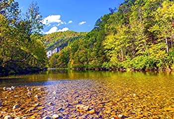 【中古】【インポート品・未当て嵌める】Yeele 10?x 6.5フィート気取らない湖Backdrop Outdoors川気取らない見晴らしMountain Forest旅するハワイアン活動写真周囲の状況Girl Boy Artistic Portrait活動写真ボックス映画化お部屋かざり付ける
