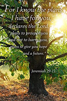 【中古】【輸入品・未使用】Jeremiah 29:11 - Inspirational (24x36 Giclee Gallery Print, Wall Decor Travel Poster) by Lantern Press