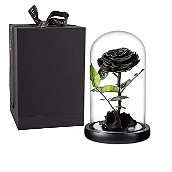 【中古】【インポート品・未当てはめる】プリザーブドローズ 黒いことサクラ色 お手手御手伝いさん プリザーブドフラワー 瑠璃学生寄宿舎に本物の薔薇 枯れないロマンティックギフト お上さん バレンタ