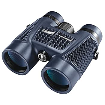 【中古】【インポート品・未当てはめる】Bushnell H2O 8x 42 粍 Jumelles