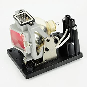 【中古】【輸入品・未使用】AWO an-ph50lp1用交換ランプハウジングfor Sharp xg-ph50?X & # xff08?;左& # xff09?;/ph50?X Links/ph50?X NL (L)|スカイマーケットプラス