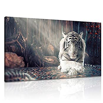 【中古】【輸入品・未使用】HaYork ホワイトタイガー 瞑想写真プリント キャンバス 動物 ウォールアート 禅 アートワーク ペインティング ホームデコレーション 枠張り済み｜スカイマーケットプラス