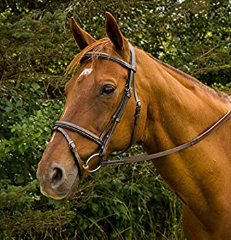 【中古】【輸入品・未使用】(Cob, Havana) - Henri De Rivel Monocrown Event Bridle Cob