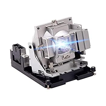 【中古】【輸入品・未使用】Stanlamp BL-FS300C 交換用ランプ スペシャルアップグレードデザイン 裸電球内部ハウジング付き OPTOMA TH1060P TX779P-3Dプロジェクター用