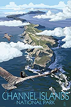【中古】【輸入品・未使用】チャネル諸島、カリフォルニア???Bird 's Eye View 24 x 36 Giclee Print LANT-79929-24x36