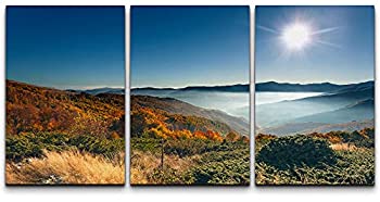 【中古】【輸入品・未使用】wall26 キャンバスプリント 壁アートセット 秋の自然の中の山の森の谷 写真 リアリズム 素朴 風景 カラフル マルチカラー リビングルーム ベッド｜スカイマーケットプラス