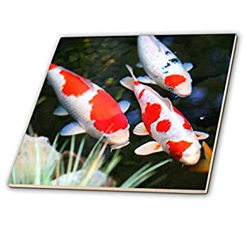 【中古】【輸入品・未使用】フローレン魚???JapaneseオレンジNホワイトKoi Fish???タイル 12" ct_62378_8｜スカイマーケットプラス