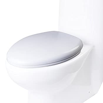 【中古】【インポート品・未当て嵌める】EAGO R-309SEAT 取り替えっこ用ソフトクローズトイレシート 結核症309用 キッチン用品・食器・調理器具-その他