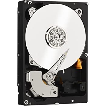 【中古】【インポート品・未当て嵌める】WD RE wd3000fyyz 3?肺結核 3.5?\"内蔵捉え所の無い運転。SATA。7200?RPM。64?MB緩衝装置\"" Product Type :記憶装置運転/捉え所の無い運転/ソリ"