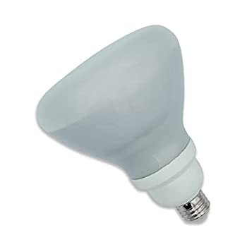【中古】【輸入品・未使用】交換用for GE General Electric g.e fle26?/ 2?/ r40?X L交換用電球