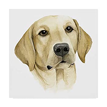 【中古】【輸入品・未使用】Trademark Fine Art Humans Best Friend I by Grace Popp, 14x14 24x24 WAG06331-C2424GG