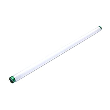 【中古】【インポート品・未当て嵌める】取り替えっこ用for FSL BL t8?F18?W取り替えっこ用白熱電球