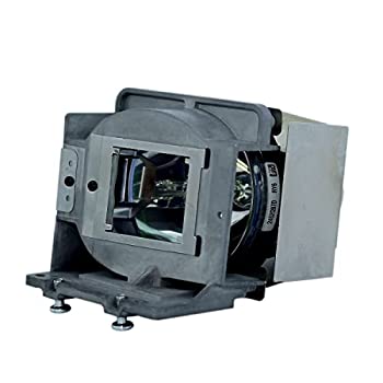 【中古】【輸入品・未使用】stanlamp rlc-080プレミアム交換用プロジェクターランプwith housing for Viewsonic pjd8333s pjd8633wsプロジェクタ