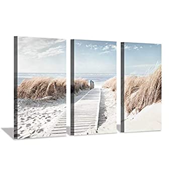 【中古】【輸入品・未使用】Hardy Gallery ビーチスケープ 画像 海岸風景 印刷：オーシャンサイド 海草 トレイル キャンバス