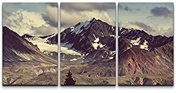 【中古】【輸入品・未使用】wall26 キャンバスウォールアート パネル3枚 24" x 16" x 3 Panels CVS-X-D040-16x24x1.50x3｜スカイマーケットプラス 38,503円