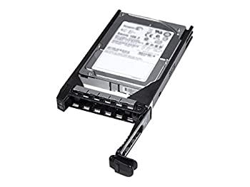 【中古】【インポート品・未当てはめる】DELL 1.2結核症 SAS