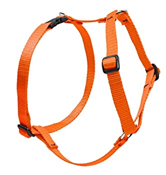 【中古】【インポート品・未当て嵌める】ルパイン 大型犬用 25粍幅 ６０ｃｍ～９６ｃｍ 益荒男色 古典派音楽 馬具 オレンジ色
